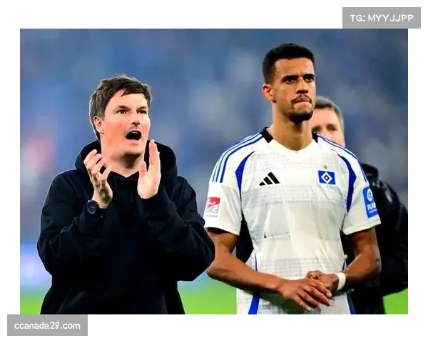 汉堡重返德甲后表现挣扎 管理层目标定位模糊